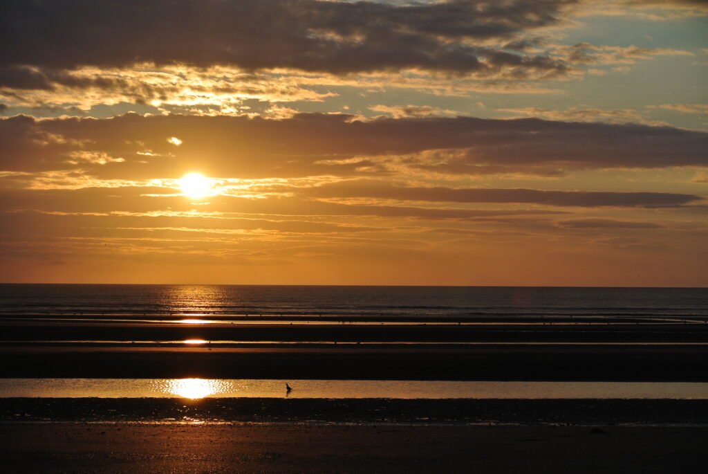 Bettystown Sauna